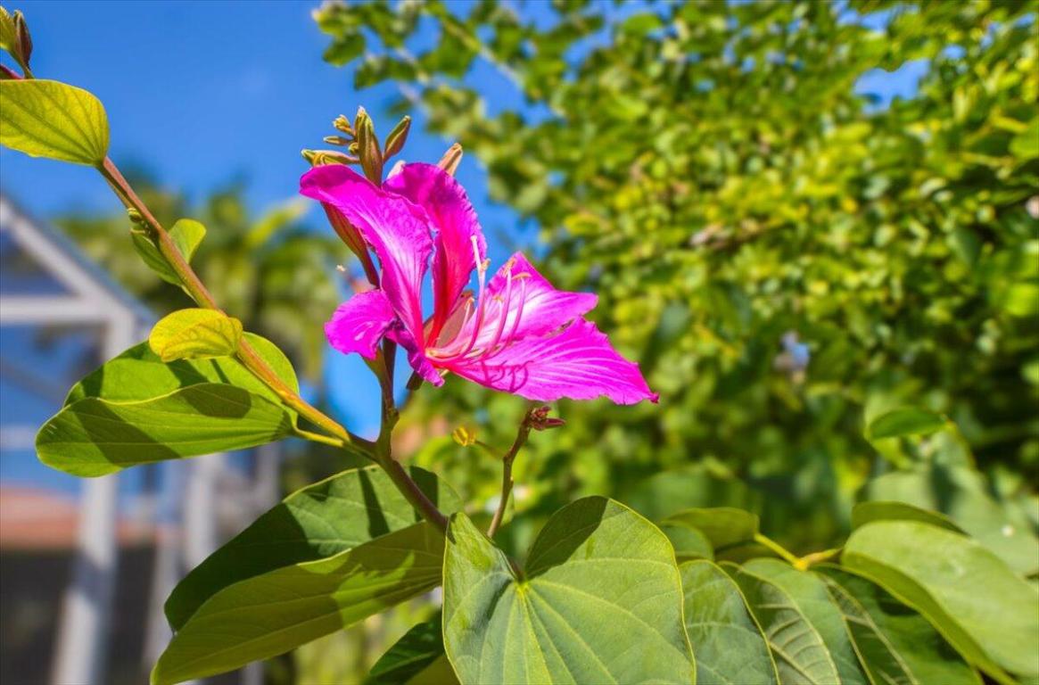 TRADITION PLAT NO 19 - Residential