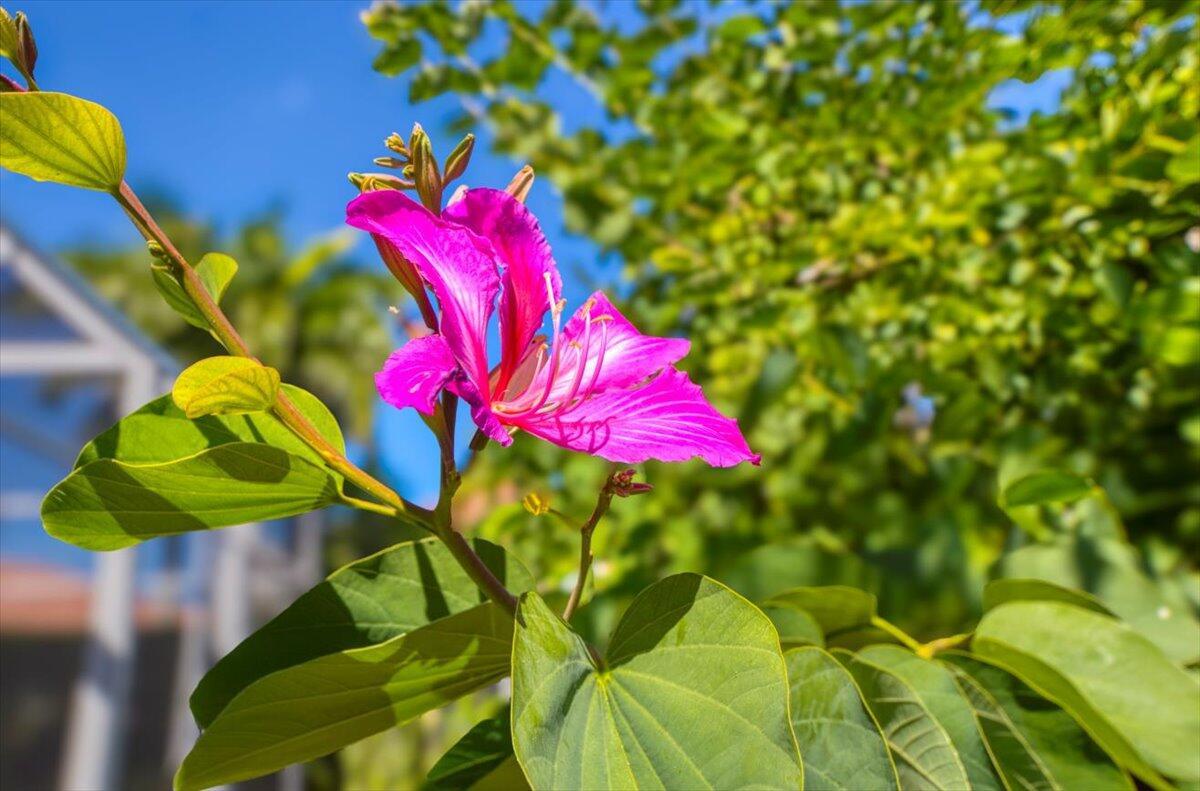 TRADITION PLAT NO 19 - Residential