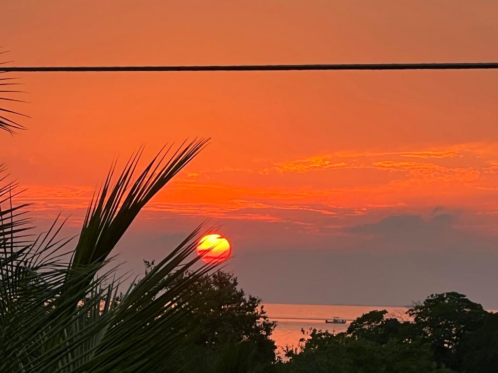 101 11th Street Ocean Lot 5