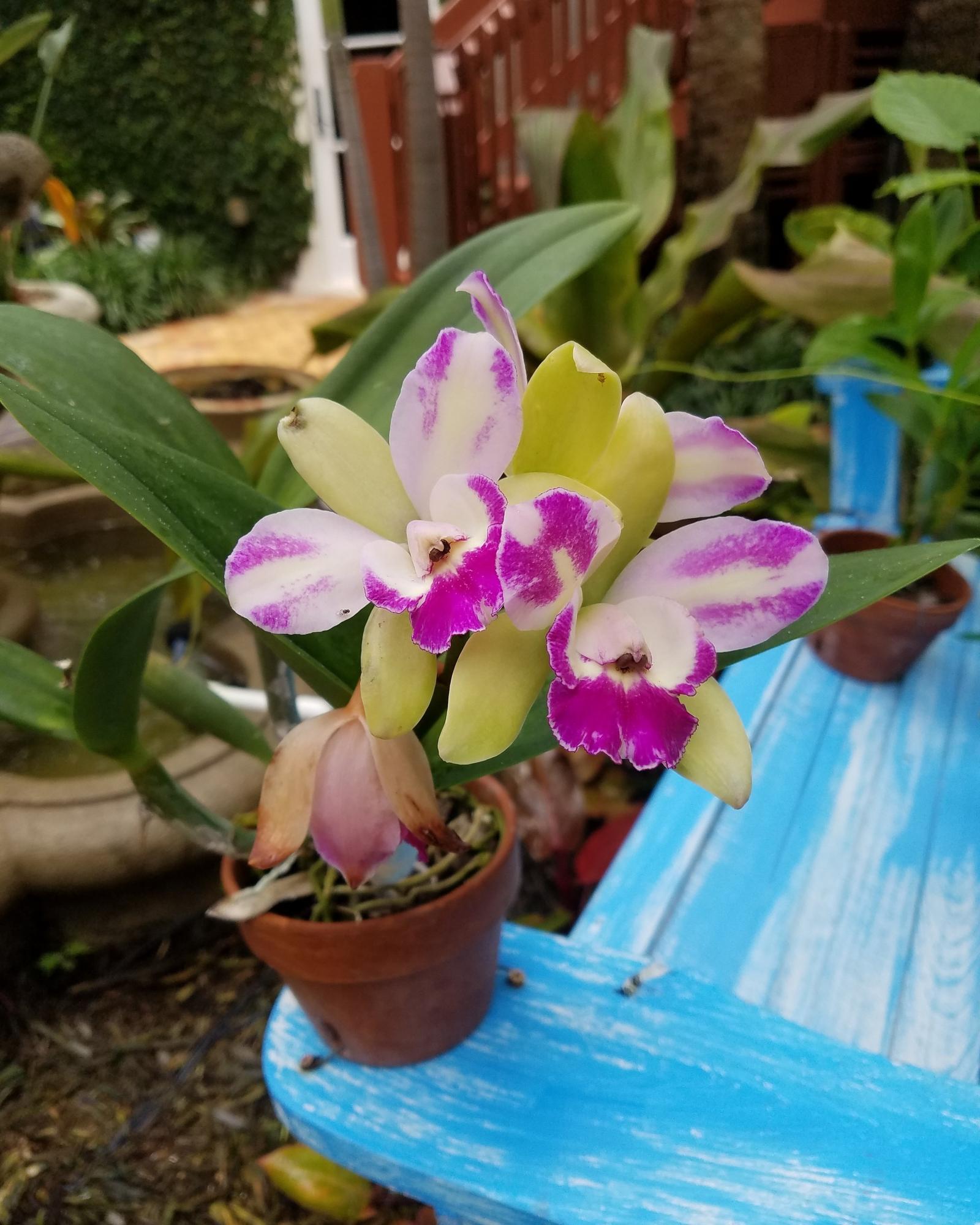 DELRAY TOWN OF - Residential Lease