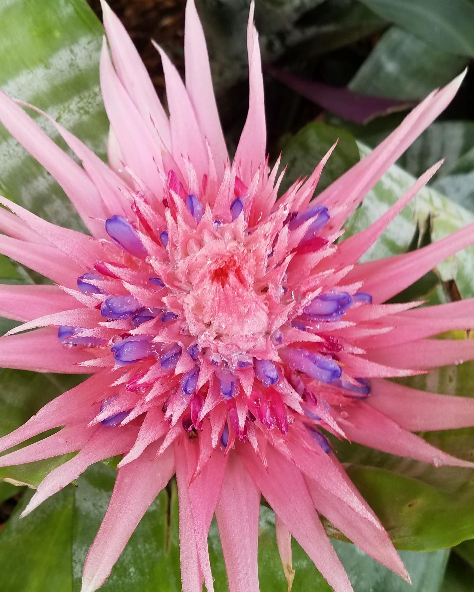 DELRAY TOWN OF - Residential Lease