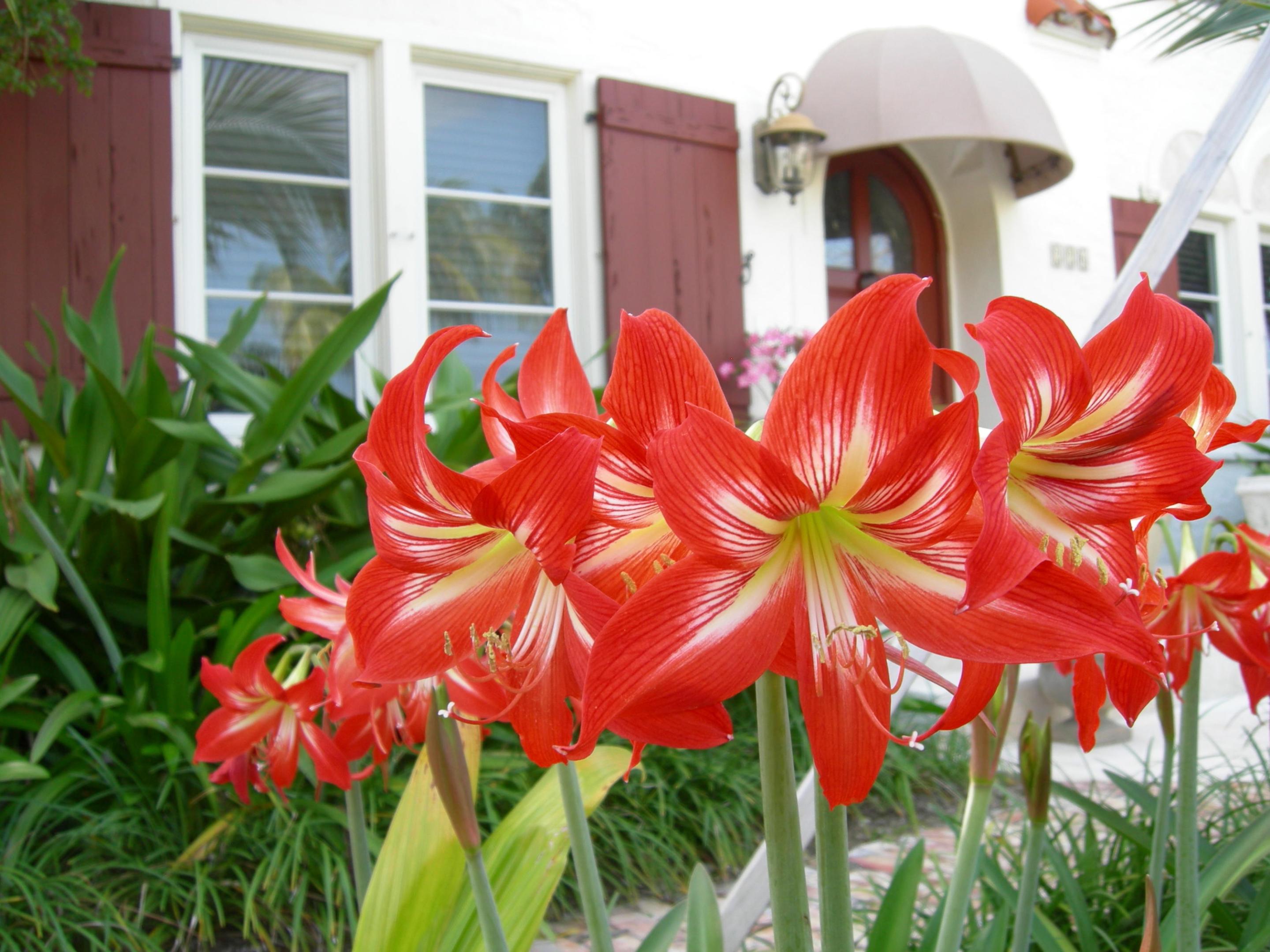 DELRAY TOWN OF - Residential Lease