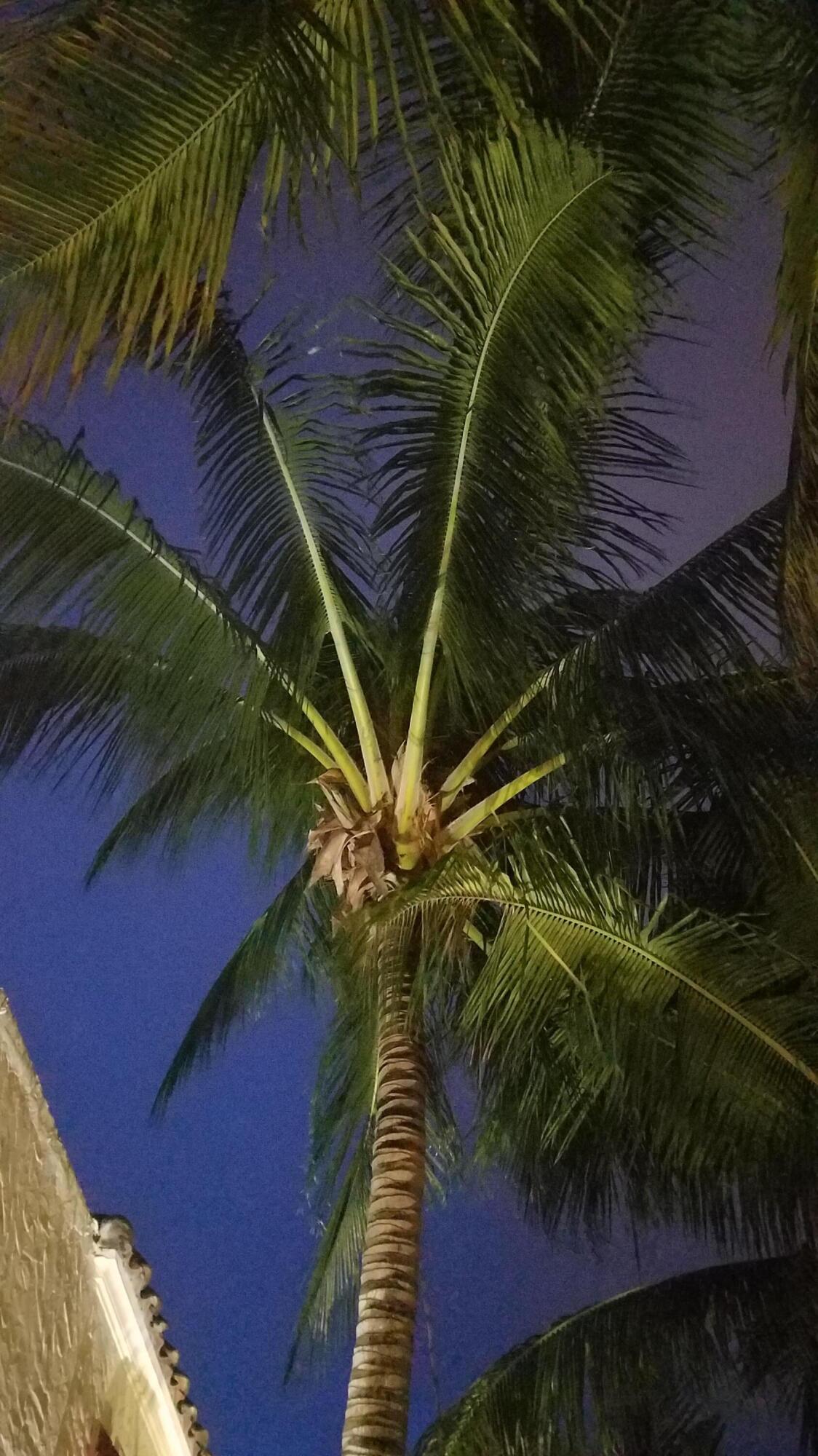 DELRAY TOWN OF - Residential Lease