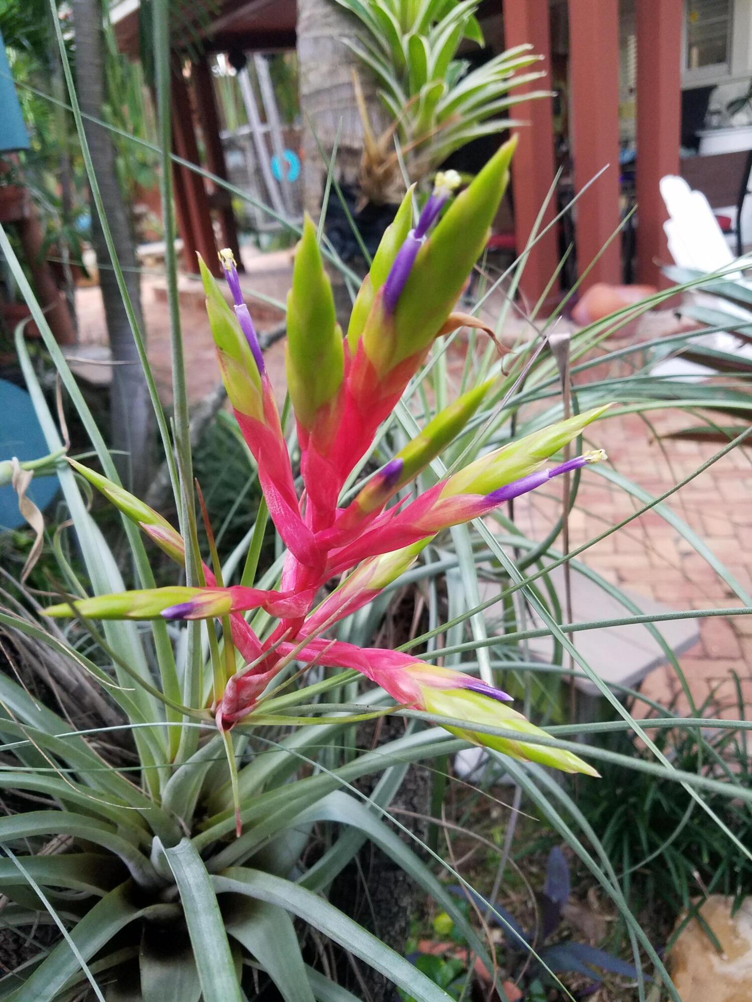 DELRAY TOWN OF - Residential Lease