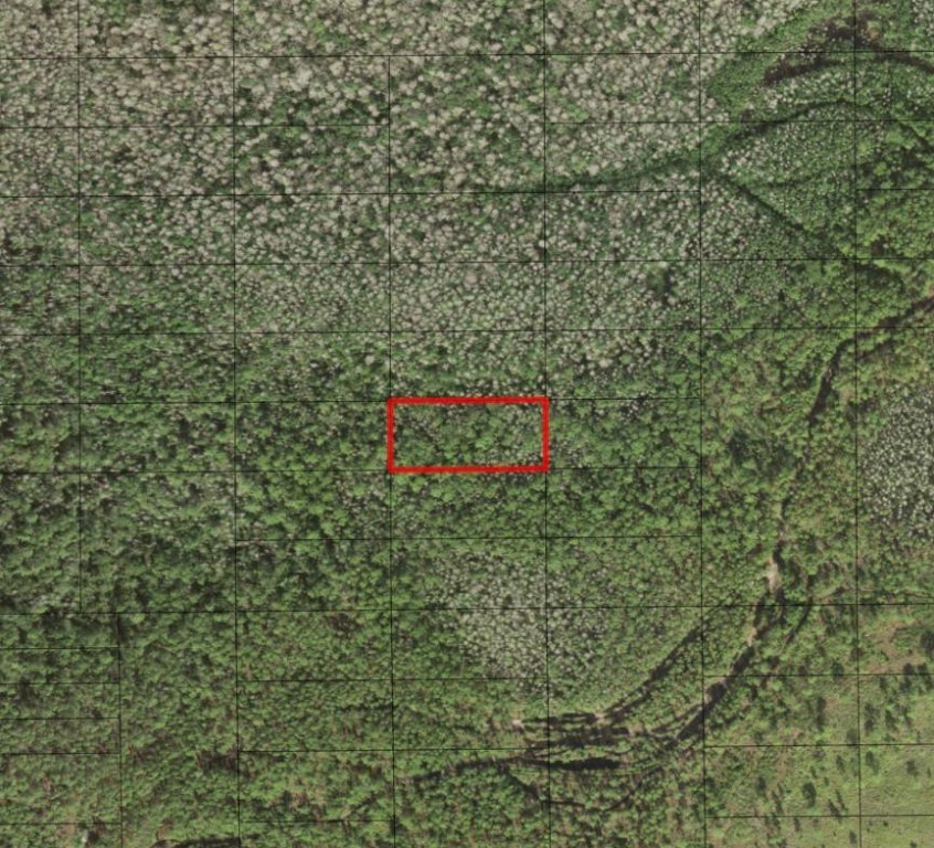 HP126 HOLOPAW - Land