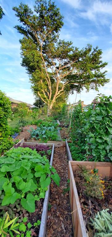LAKES OF SHERBROOKE - Residential