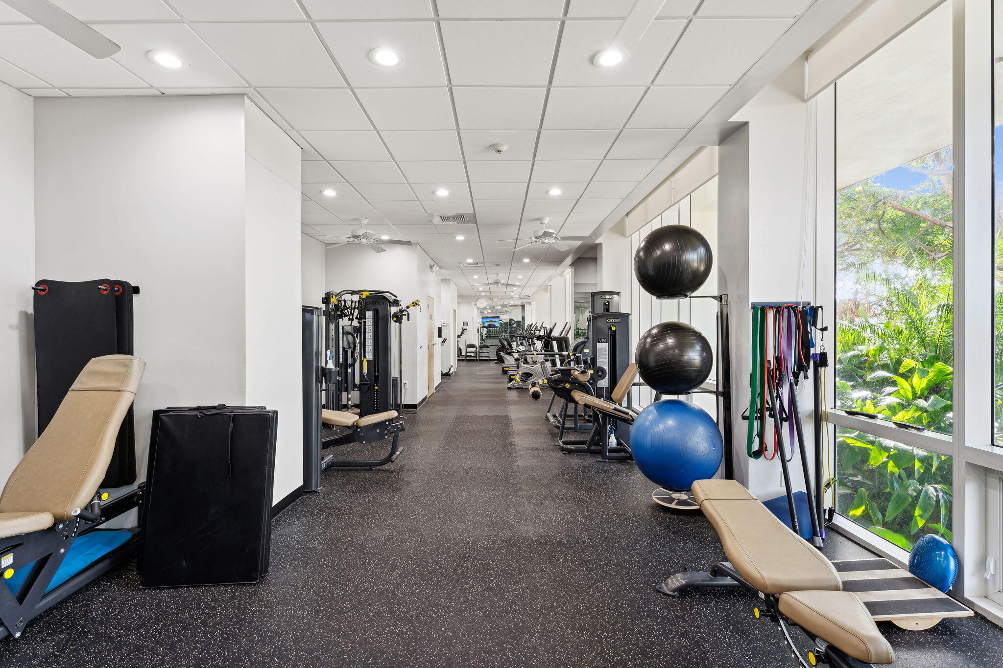 WHITEHALL CONDO - Residential