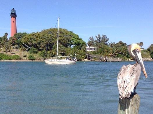 MAGNOLIA BAY - Residential