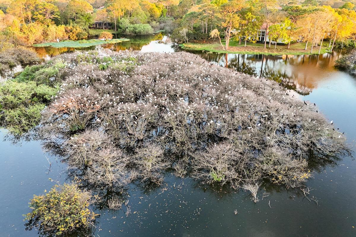 Harbour Ridge Yacht & Cou - Residential