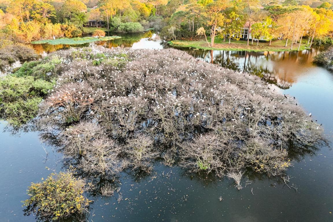 Harbour Ridge Yacht & Country Club - Deer Moss Vil - Residential