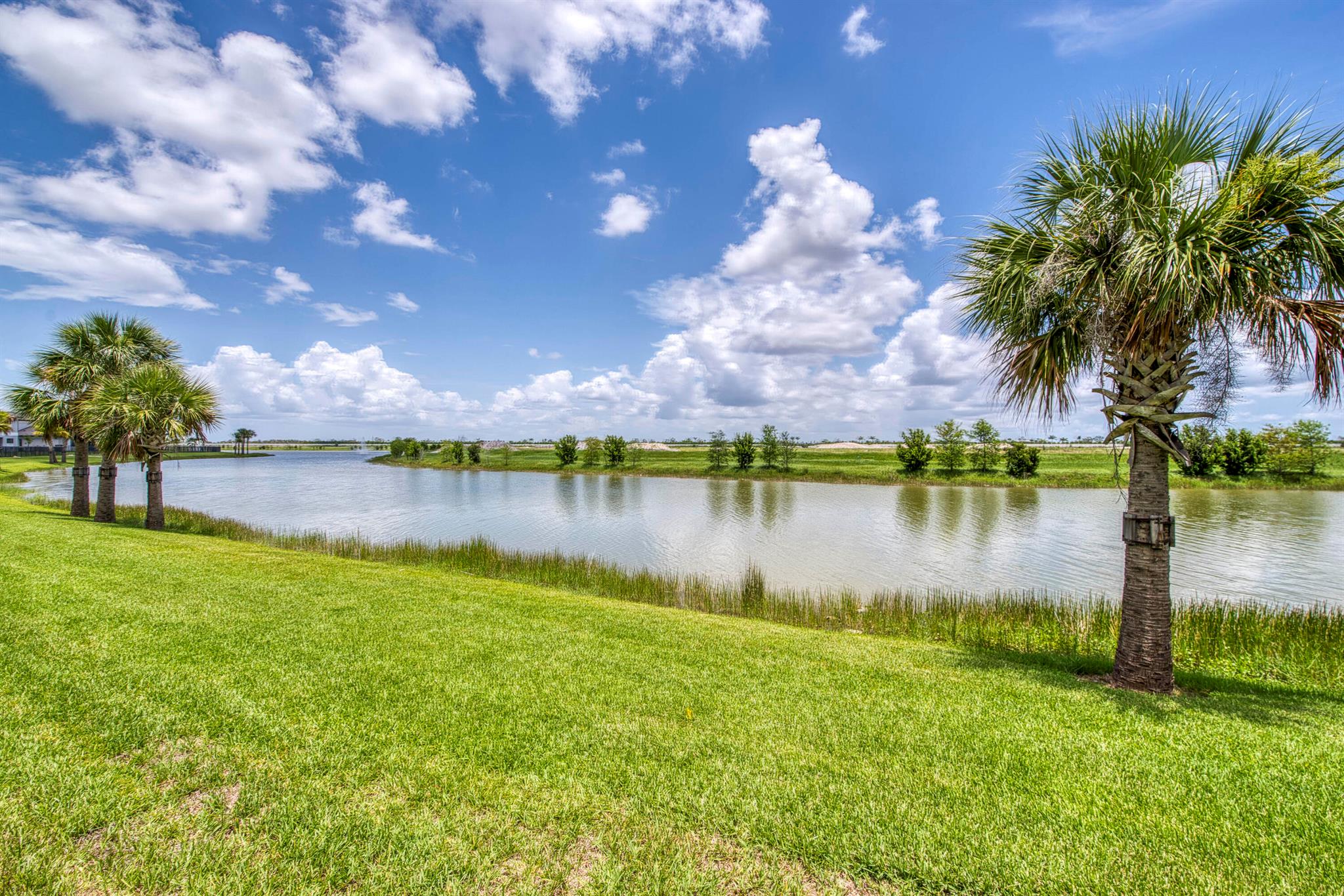 Avenir - Residential