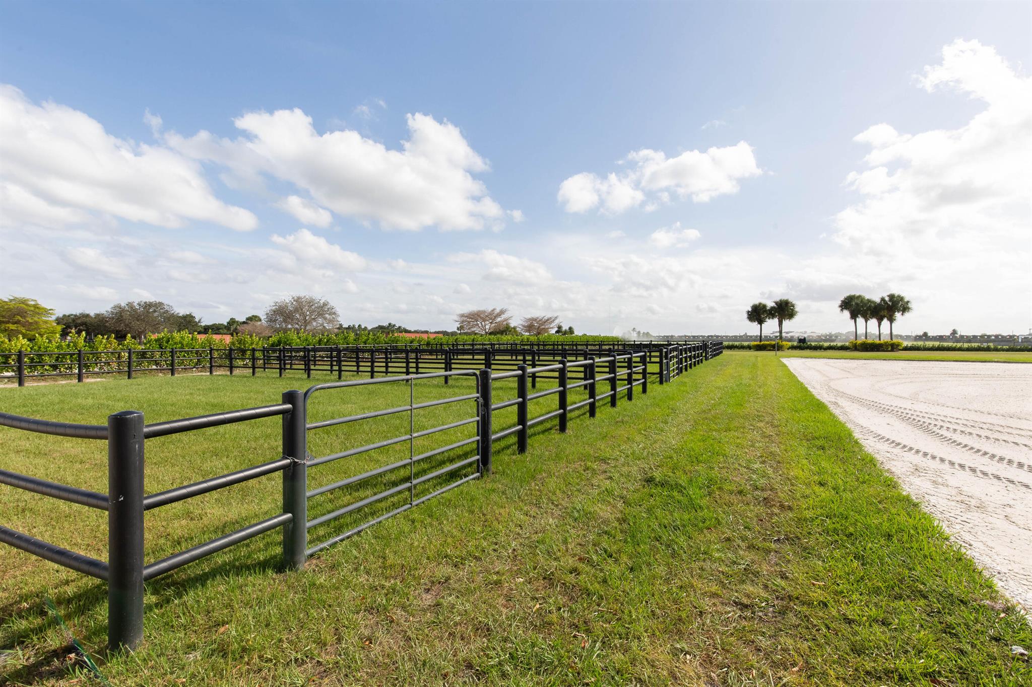 GREENBROOK EQUESTRIAN VIL - Residential