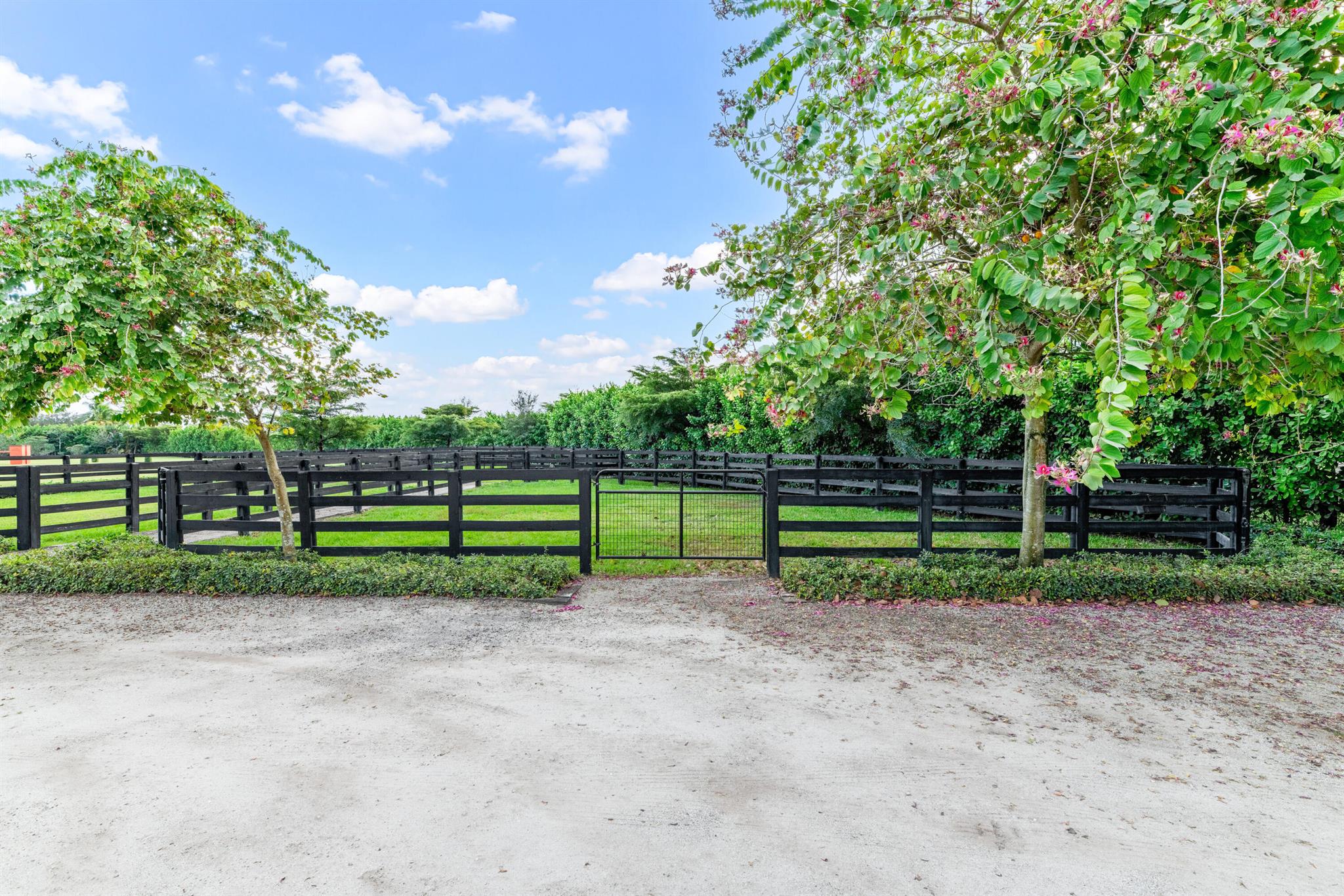 SADDLE CLUB OF WELLINGTON - Residential