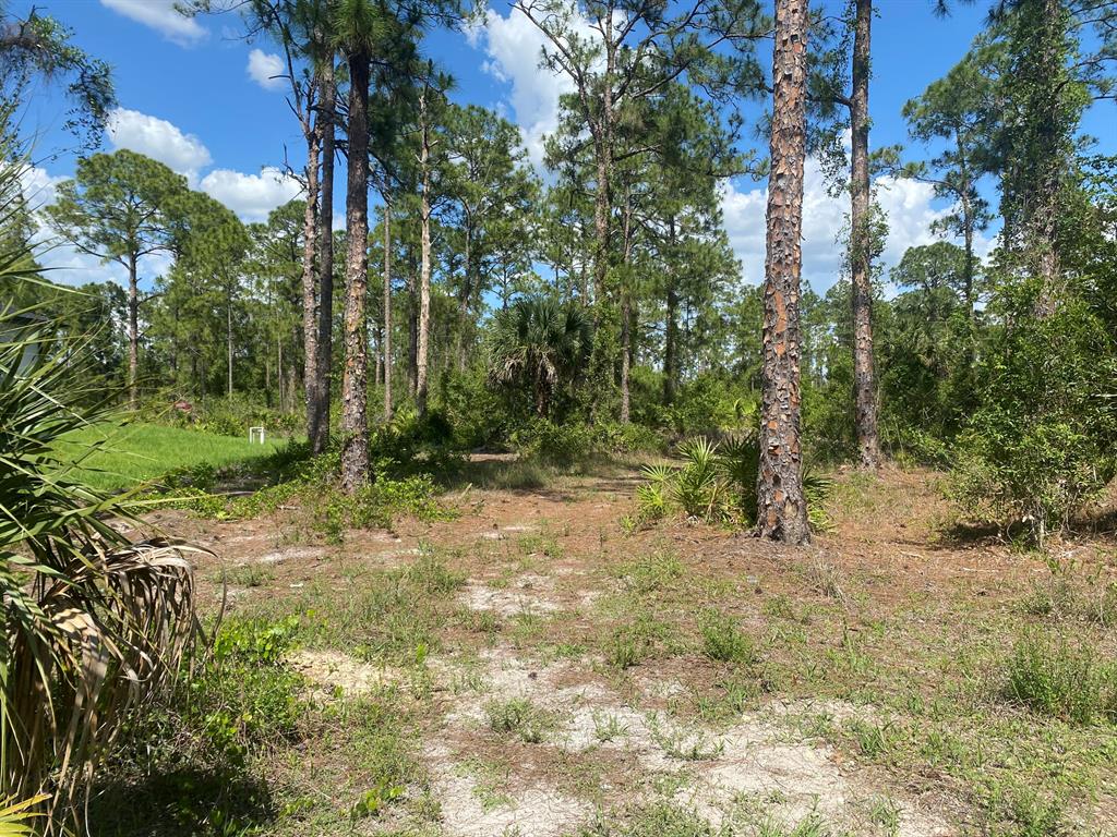DONT MISS THIS OPPORTUNITY TO ACQUIRE THIS RESIDENTIAL HALF ACRE LOT.BUILD YOUR NEW HOME OR HOLD FOR THE FUTURE CONVENIENT LOCATION, GREAT NEIGHBORHOOD, CONTINUOUSLY GROWING WITH NEWLY BUILT HOUSES NEARBY. NEAR SHOPPING, HOSPITALS SCHOOLS, AND RESTAURANTS. LEE COUNTY OFFERS PLENTY OF OUTDOOR ACTIVITIES. QUICK DRIVE TO BROWARD COUNTY & MIAMI, ONLY MINUTES TO FORT MYERS BEACHES AND A SHORT DRIVE TO BEAUTIFUL NAPLES.BUILD NOW OR INVEST FOR THE FUTURE!