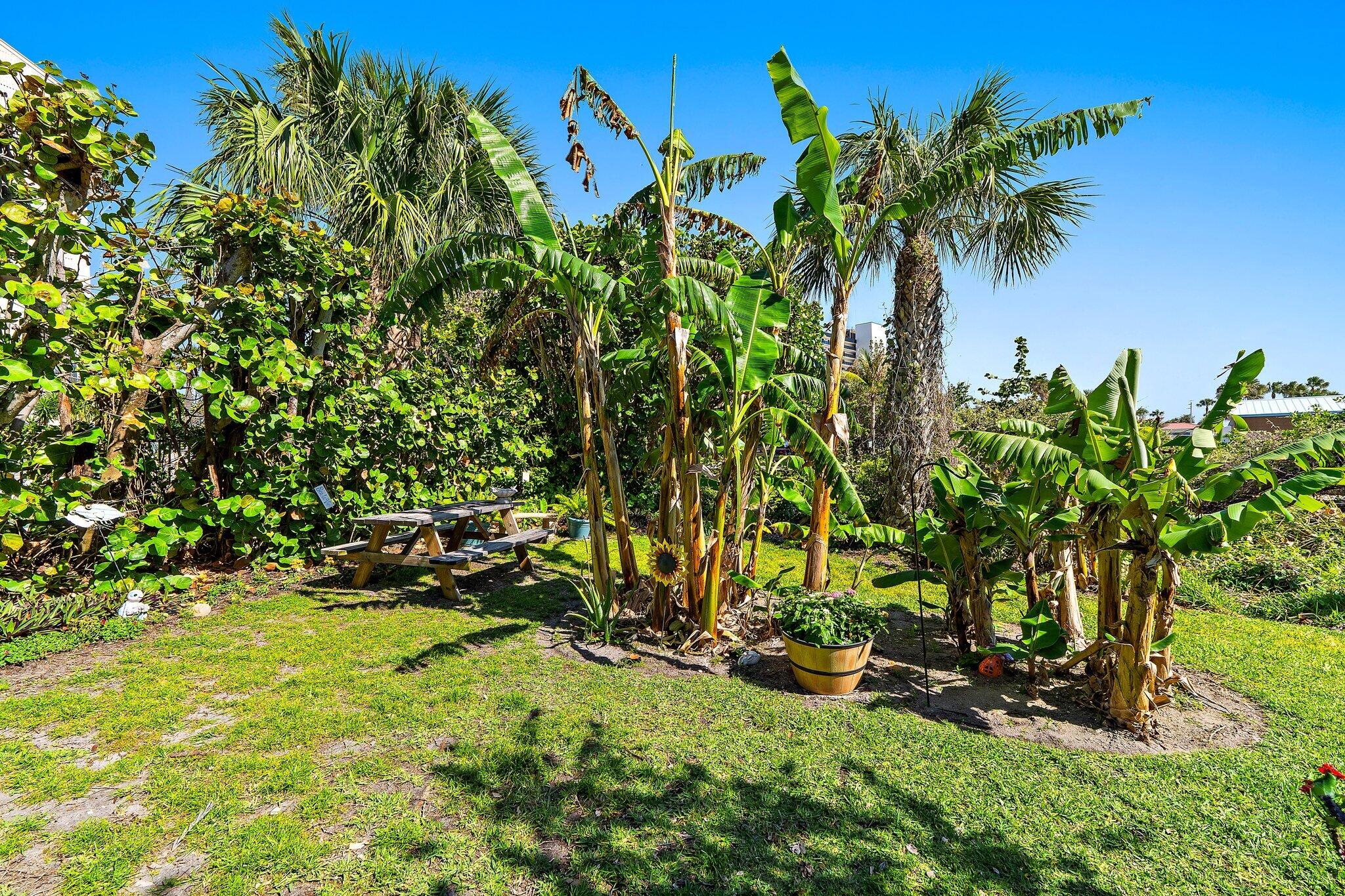 Oceanrise Condominium - Residential