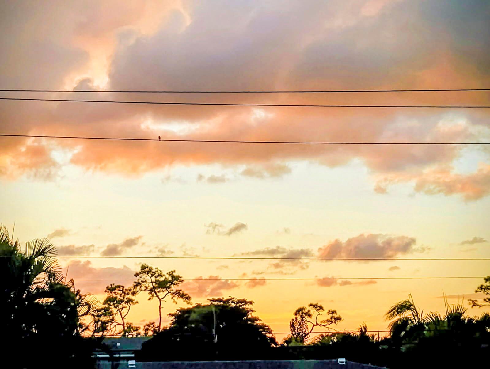 PINES OF DELRAY CONDO - Residential