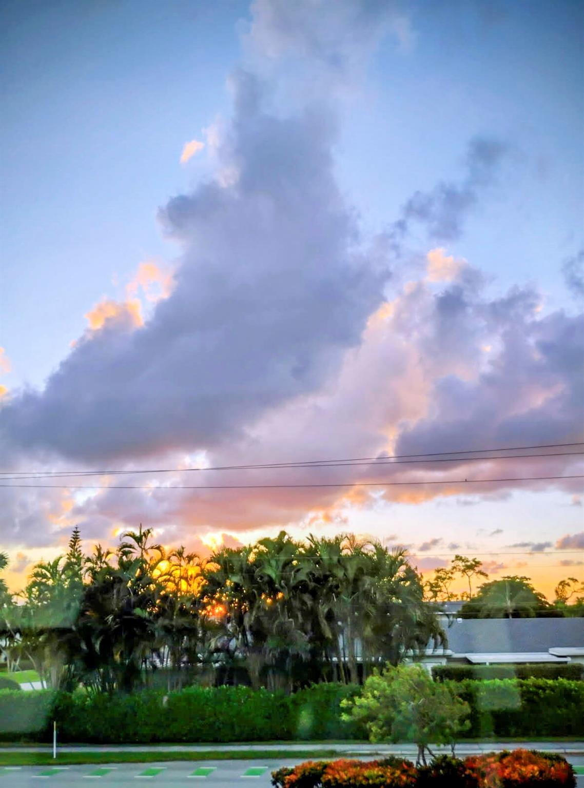 PINES OF DELRAY CONDO - Residential