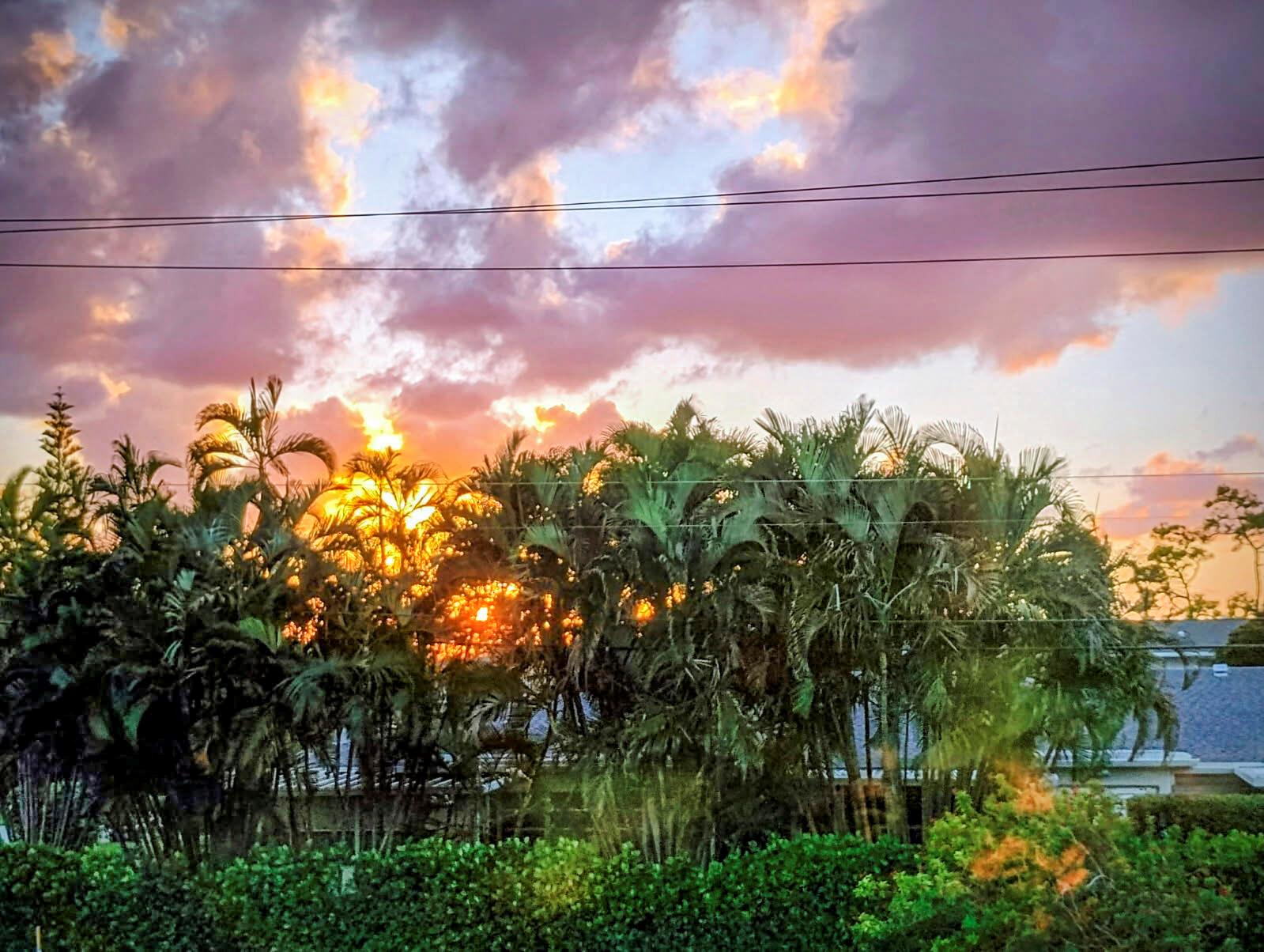 PINES OF DELRAY CONDO - Residential