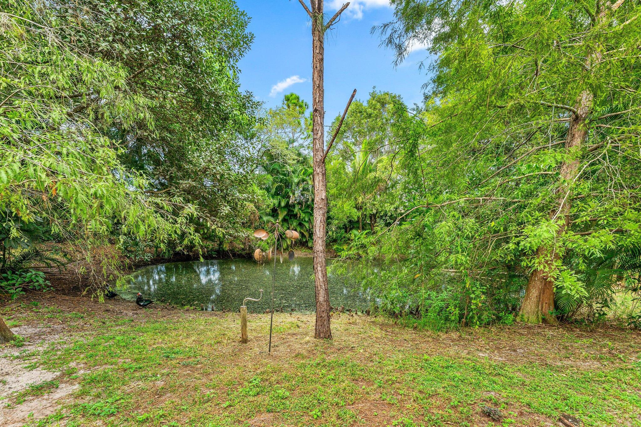 The Acreage - Residential