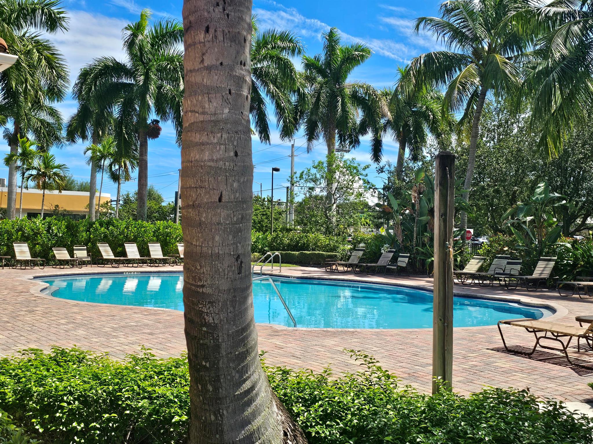 Rosemont Condominium - Residential