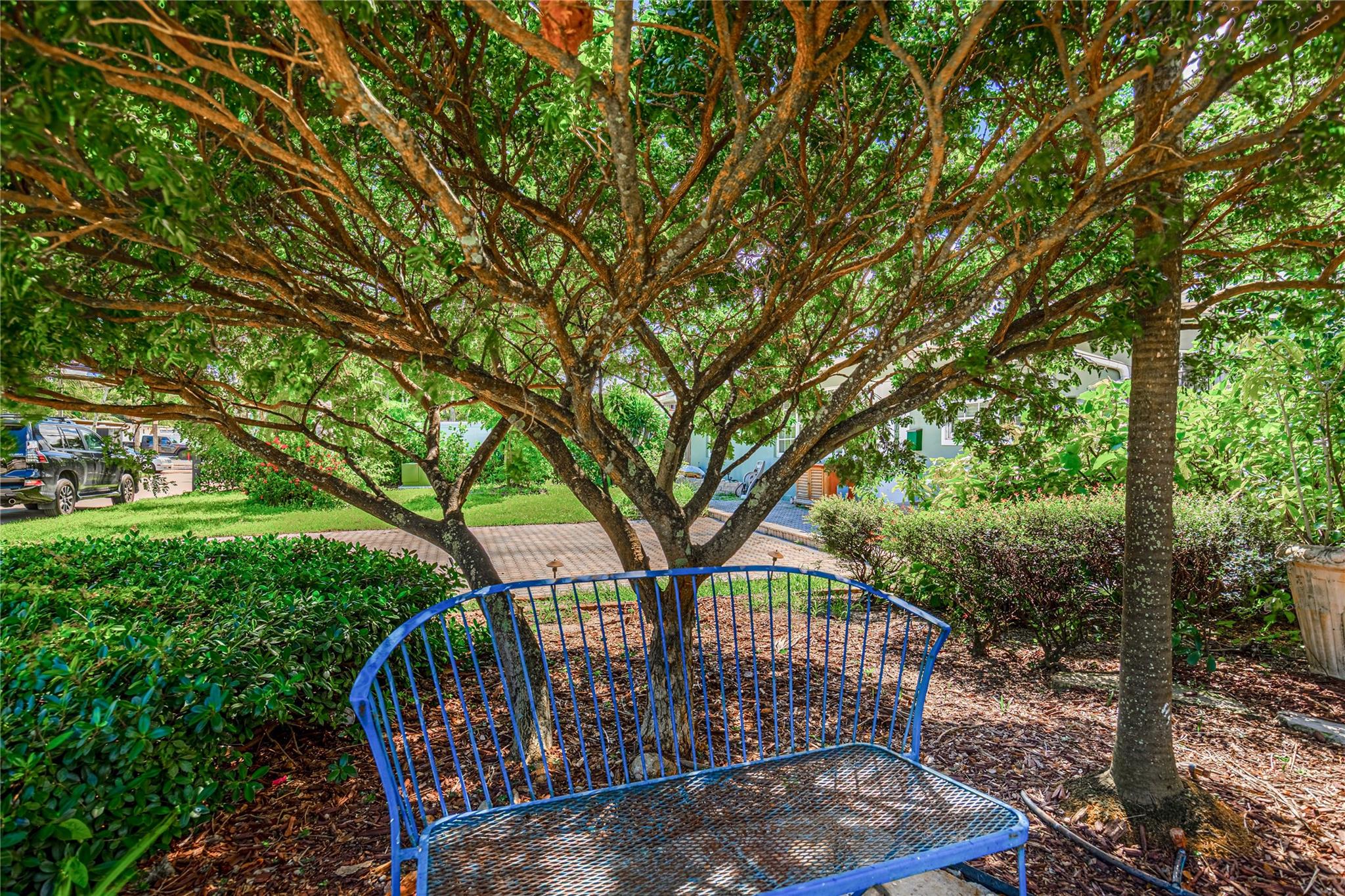 Shady Banks & Lauderdale - Residential