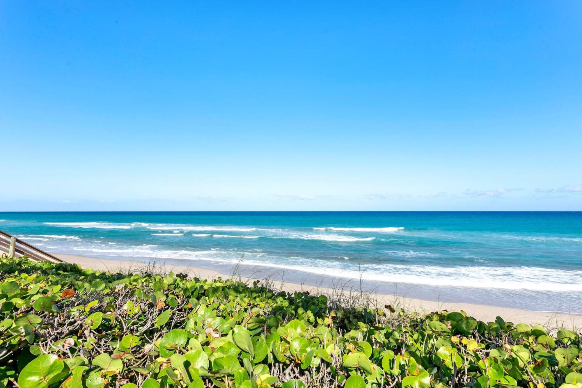 LA RENAISSANCE - Residential Lease