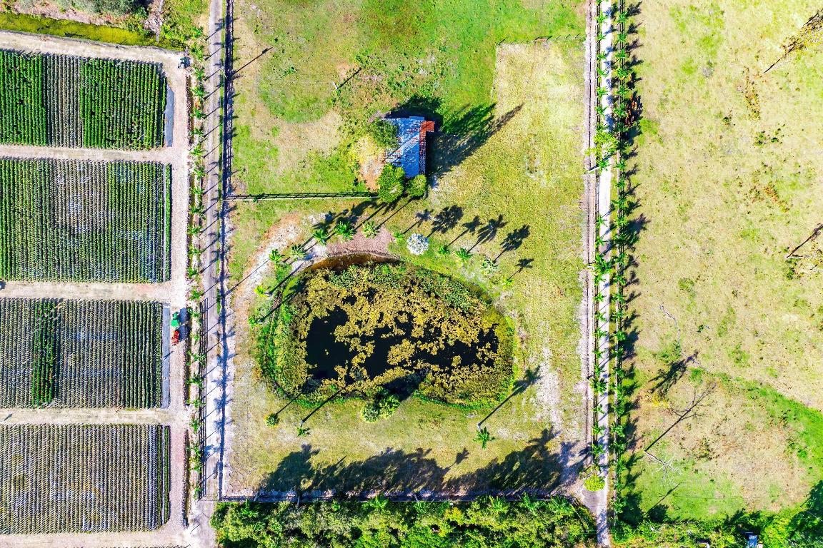 11409 Eagle Nest Drive