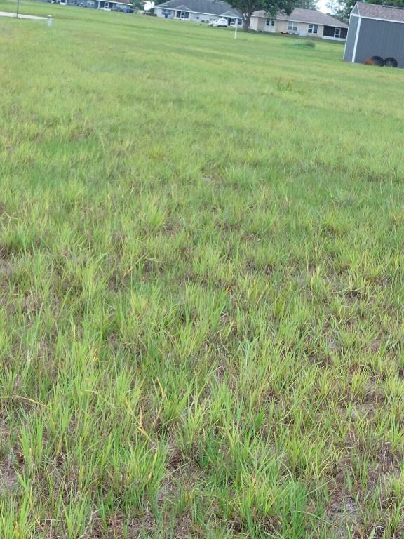 SPRING LAKE VILL 04 - Land