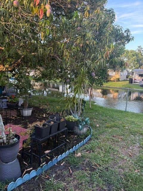 Tiny photo for 2934 NW 73rd Avenue, Fort Lauderdale, FL 33313 (MLS # B26037300)
