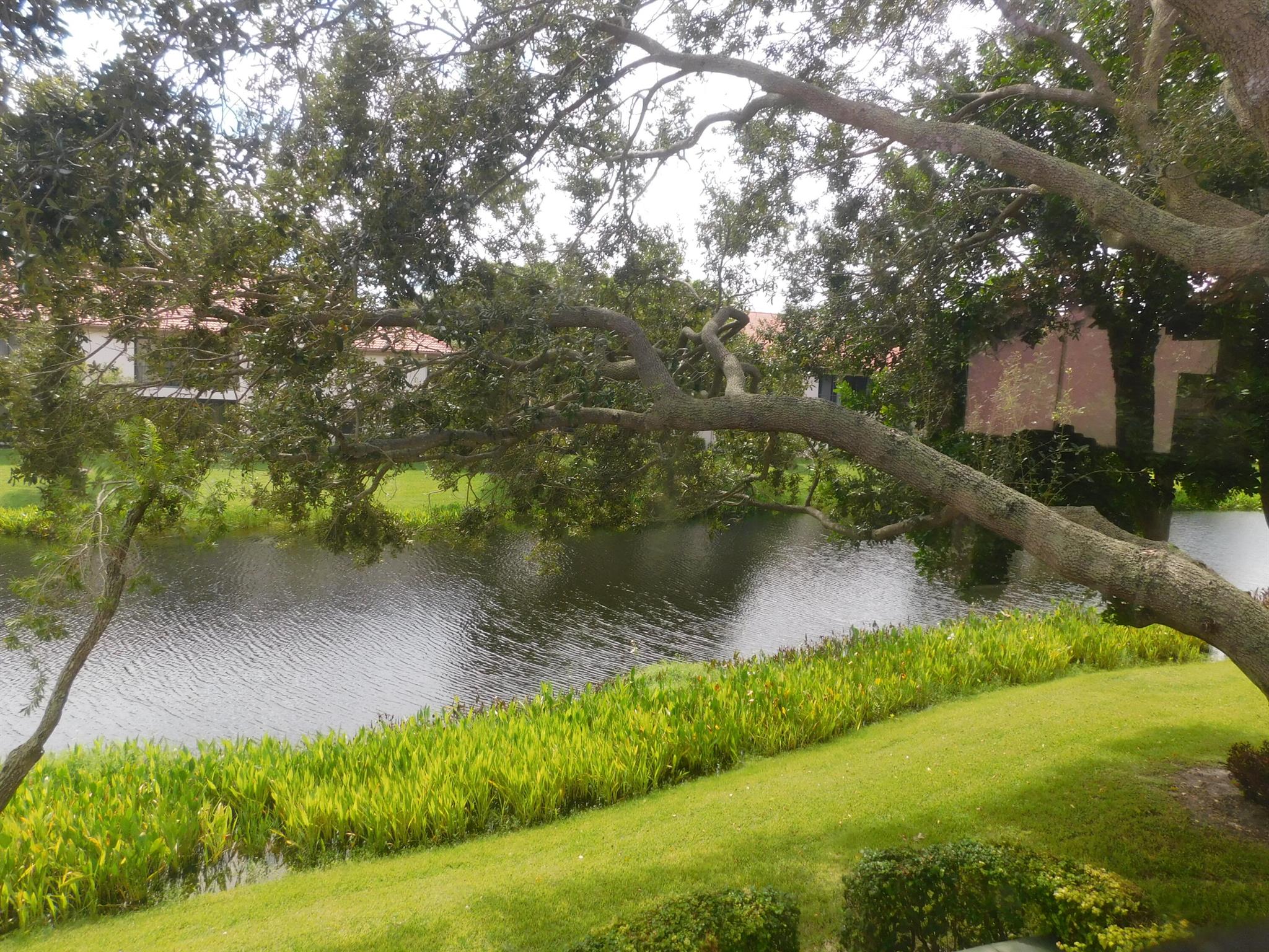 PLATINA / DIAMANTE VILLAG - Residential