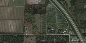 BANK OWNED! Beautiful 31+ acres in the country. Part open pasture and part heavy woods. High and dry. Five parcel numbers:2304-423-0021-000-1, 2304-432-0001-000-3, 2304-431-0001-000-0, 2304-432-0002-000-0, 2304-424-0021-000-4.