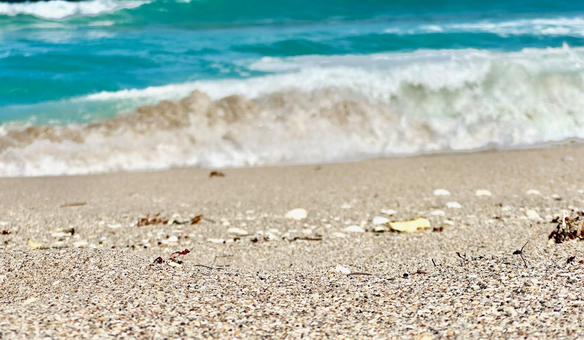 Seadunes - Residential