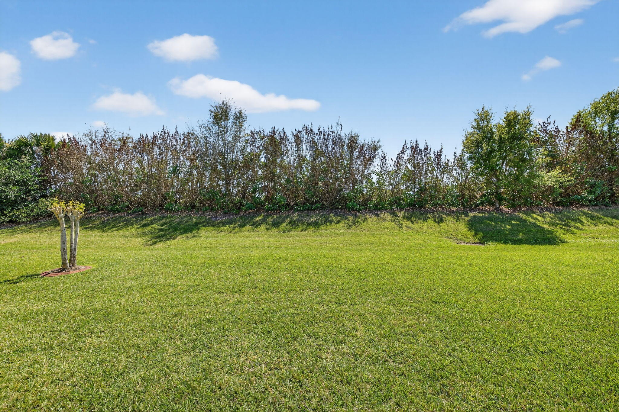 LAKEPARK AT TRADITION PLAT 1 - Residential