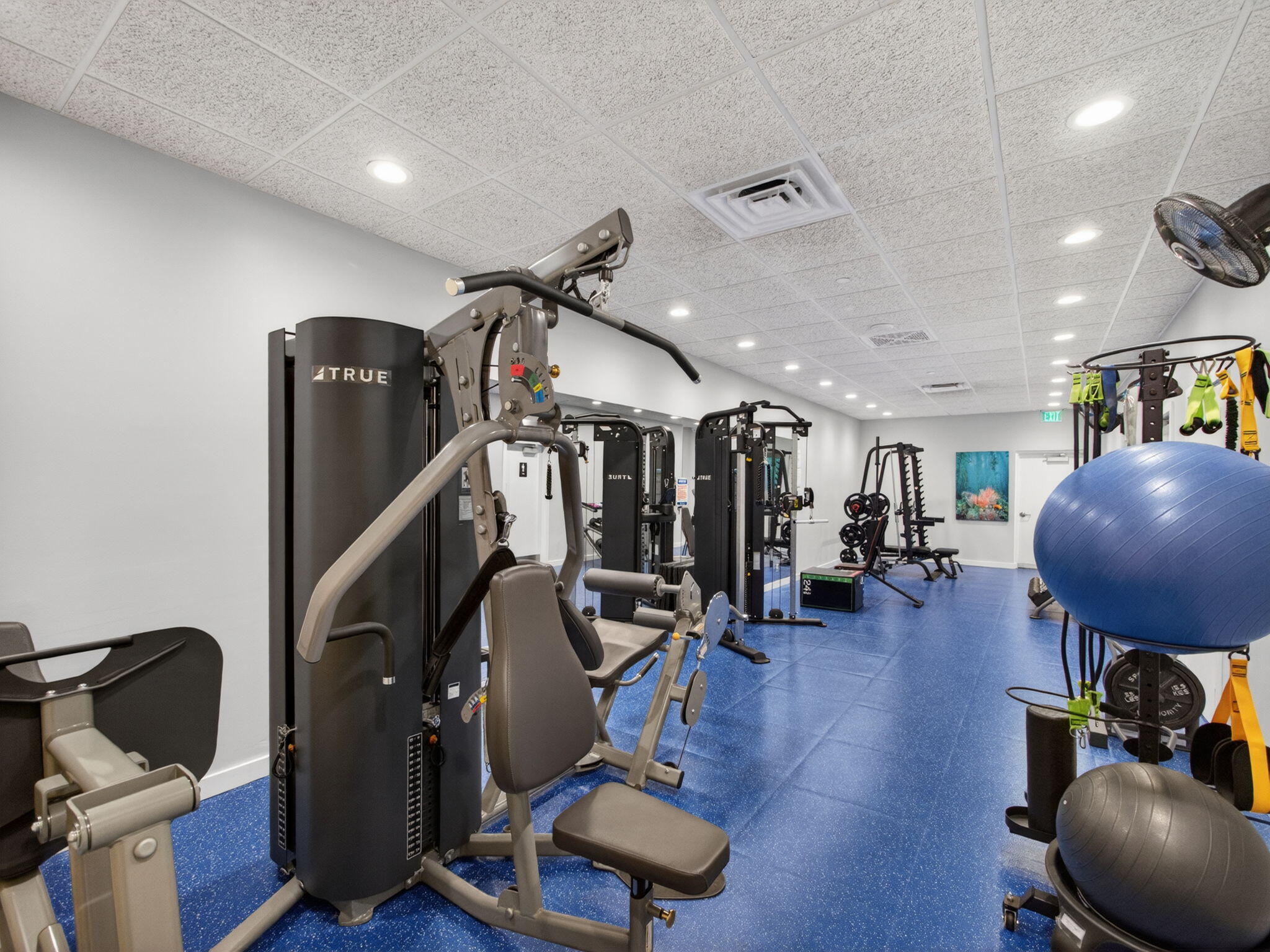 PRINCESS OF HUTCHINSON ISLAND - Residential