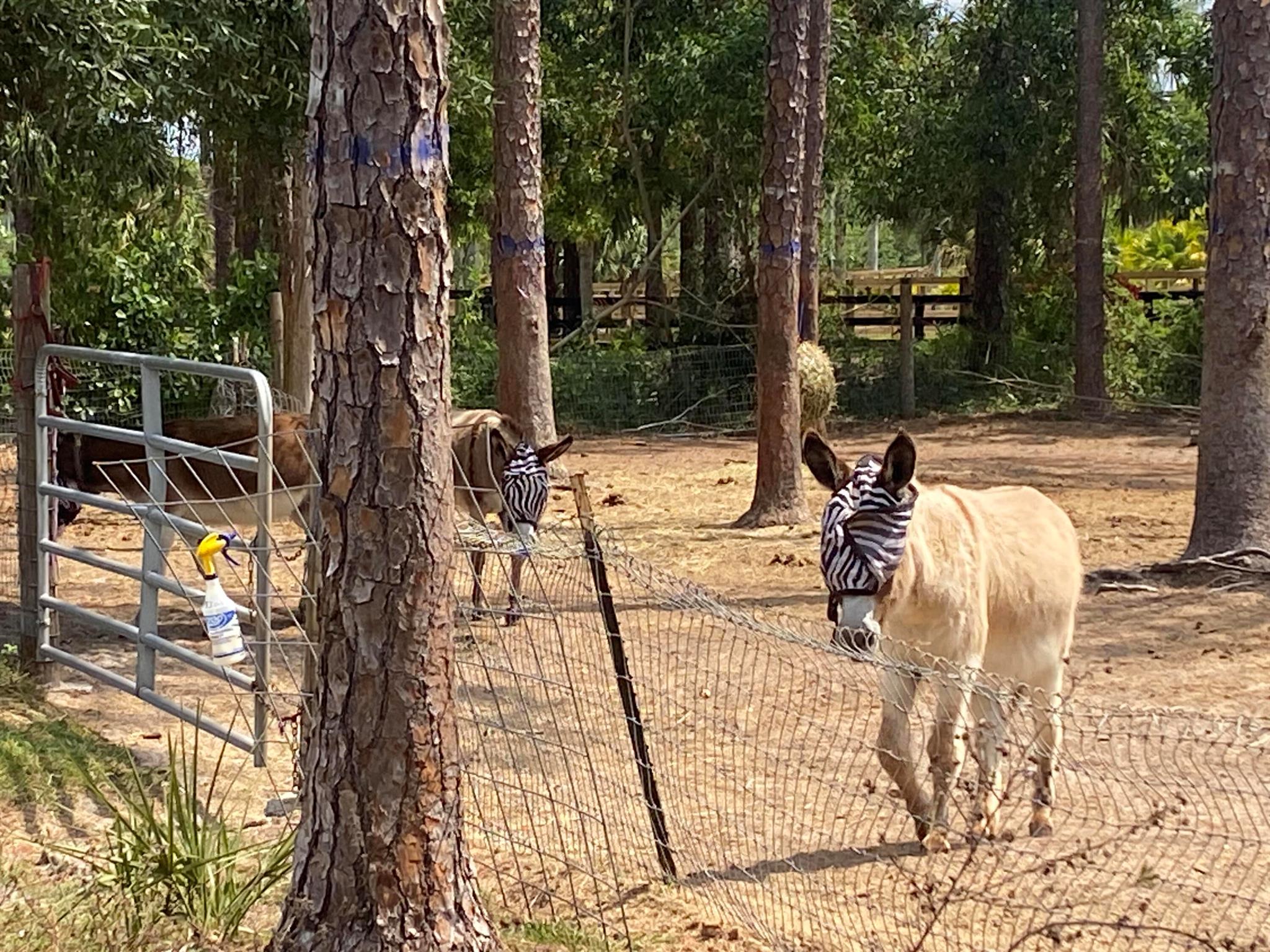 LOXAHATCHEE GROVES IN - Land