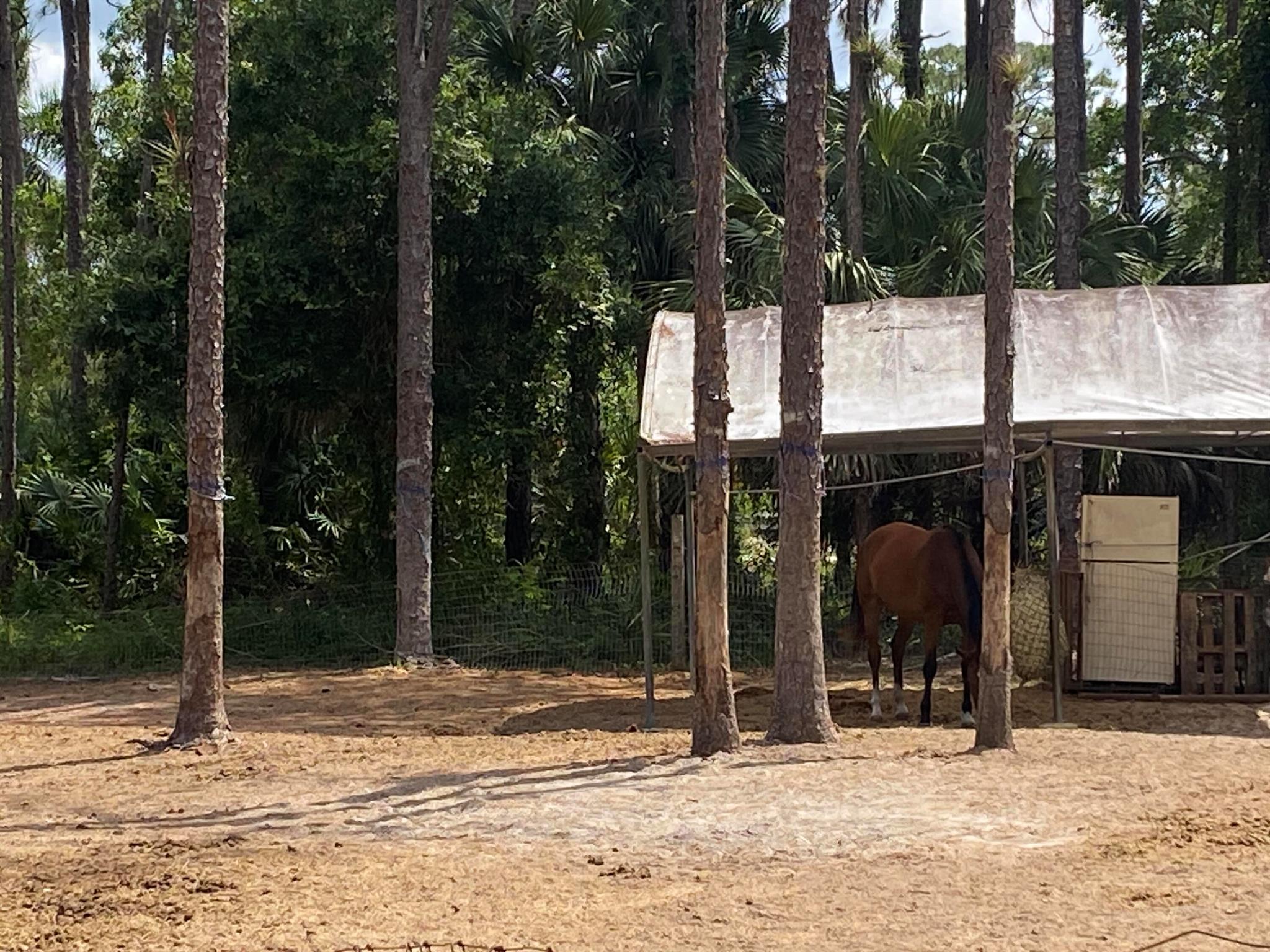 LOXAHATCHEE GROVES IN - Land