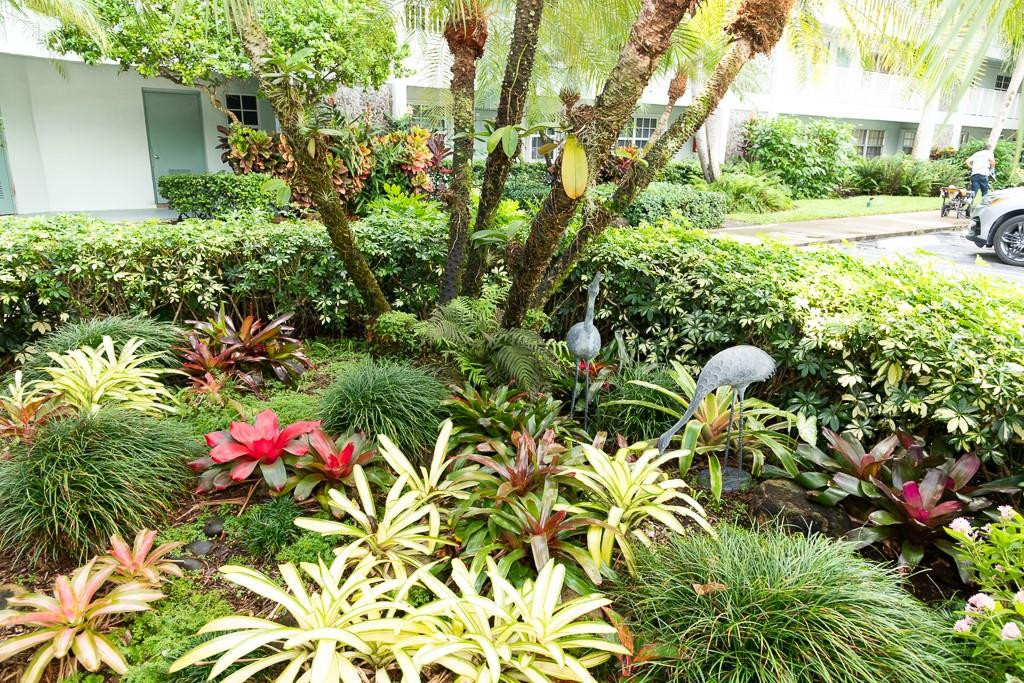 Palm Aire - Cypress Grove - Residential