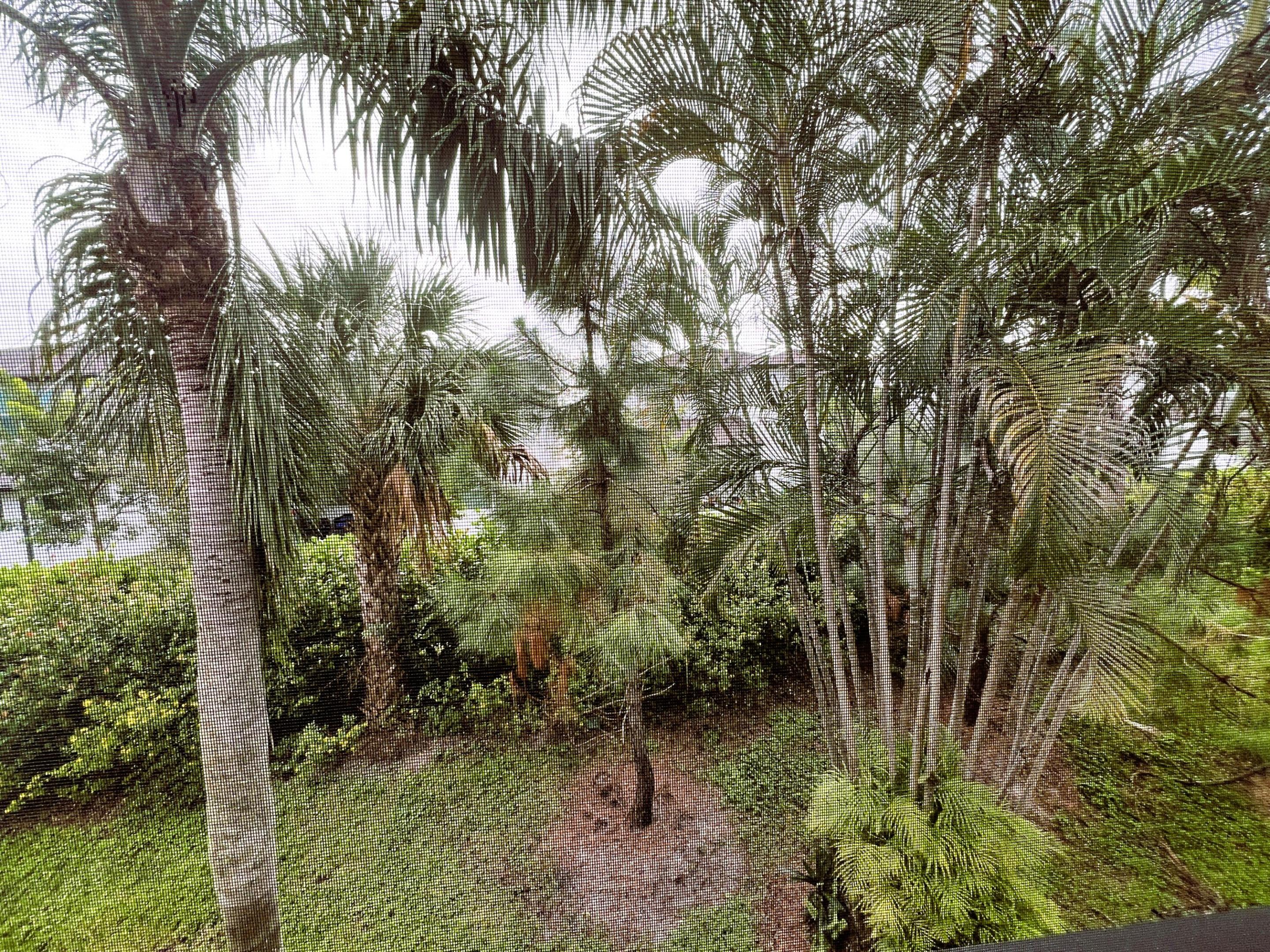 7245 Golf Colony Court 203