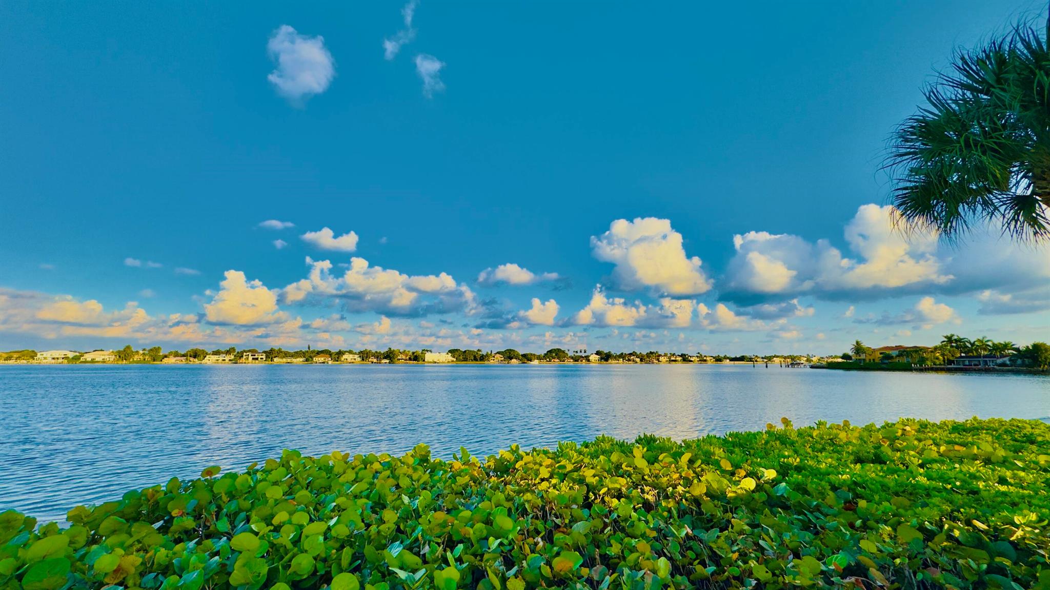 HALF MOON BAY CONDO - Residential