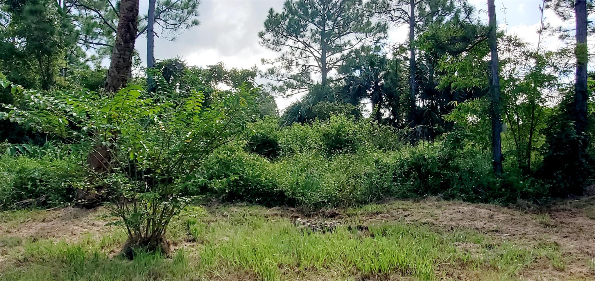 VERO TROPICAL GARDENS UNI - Land