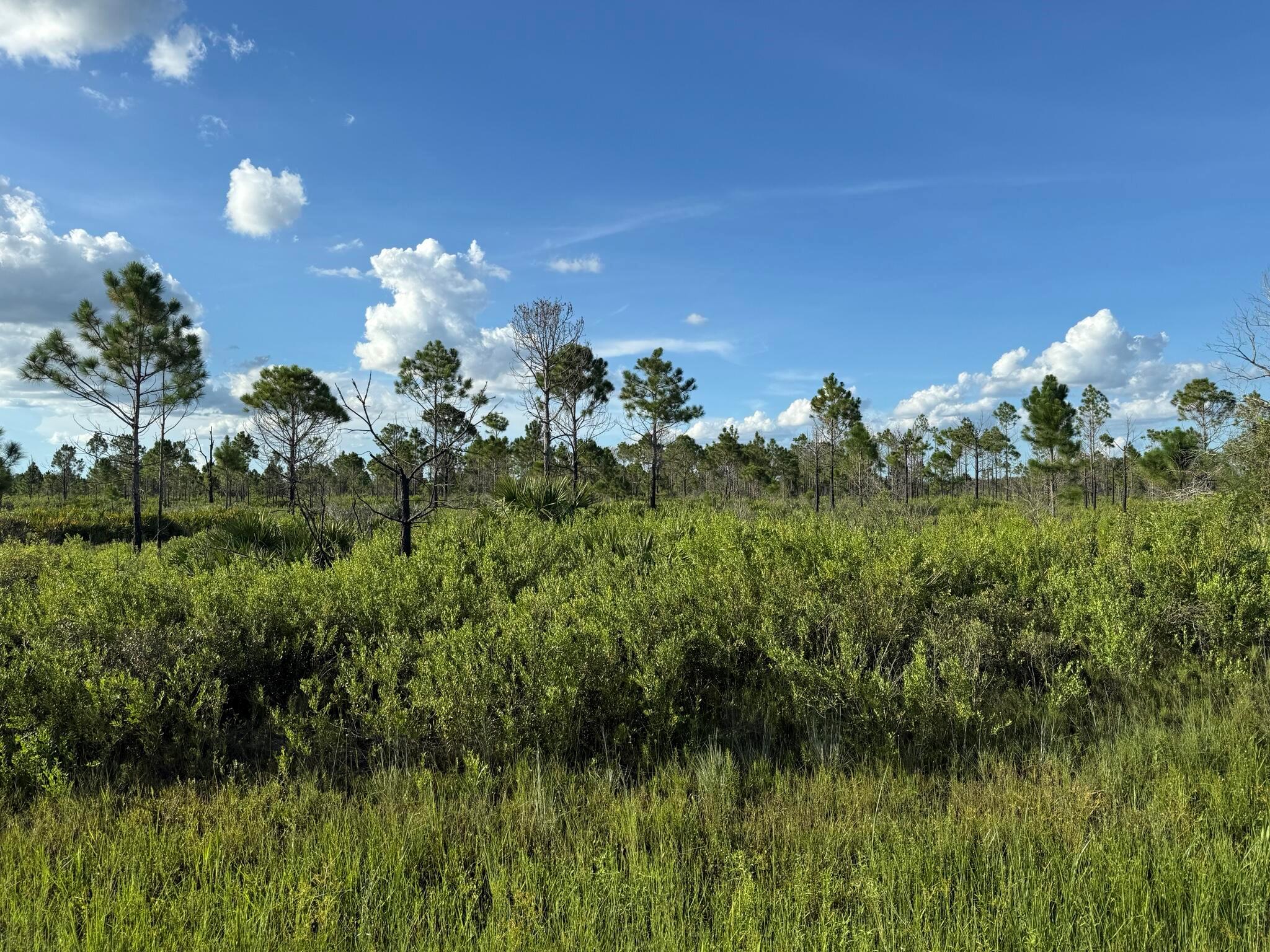 Owner financing available. Discover the freedom of country living on this 1.50-acre parcel in Okeechobee! Zoned Residential Agricultural, this versatile lot welcomes mobile homes, animals, and outdoor toys. Whether you're dreaming of a mini farm, weekend retreat, or full-time homestead, the space and flexibility are here. Build now or hold for future investment--no HOA and minimal restrictions. Start a garden, plant fruit trees, or simply enjoy the peace and privacy of rural life. Located on a quiet road with easy access to town amenities and Lake Okeechobee recreation. Bring your vision and live the lifestyle you've been waiting for!