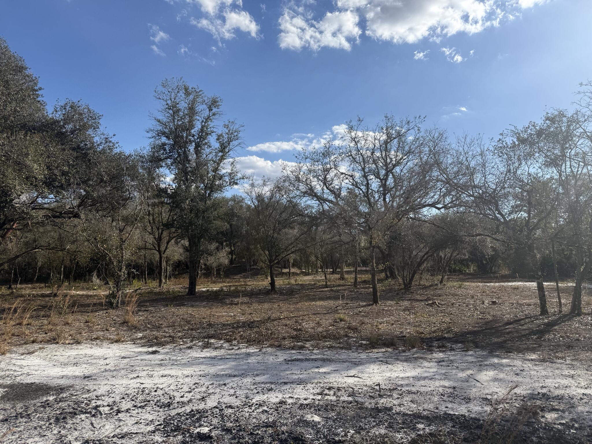 SOUTHERN COLONIZATION CO - Land