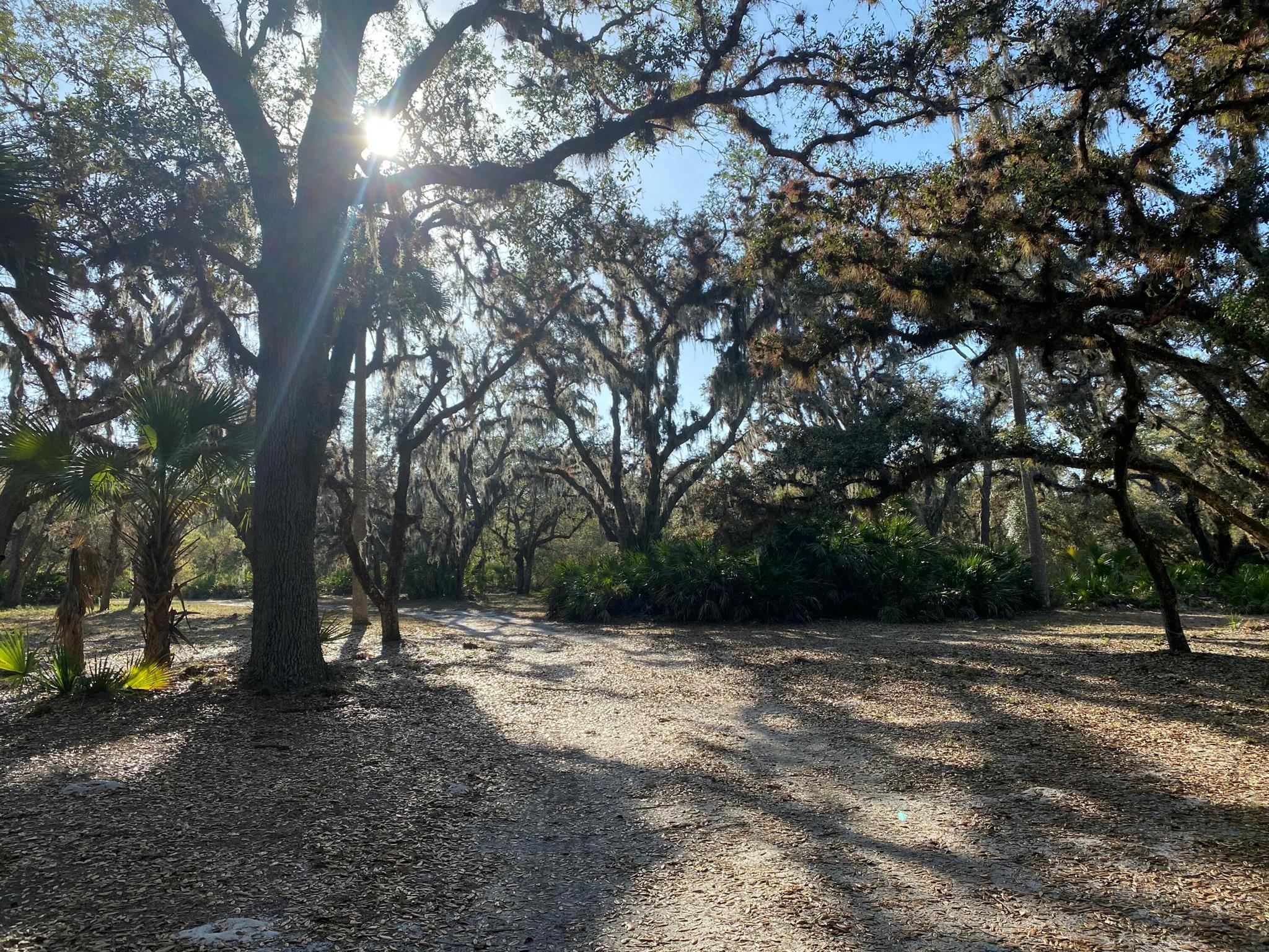 INDIAN HAMMOCK HUNT AND R - Residential