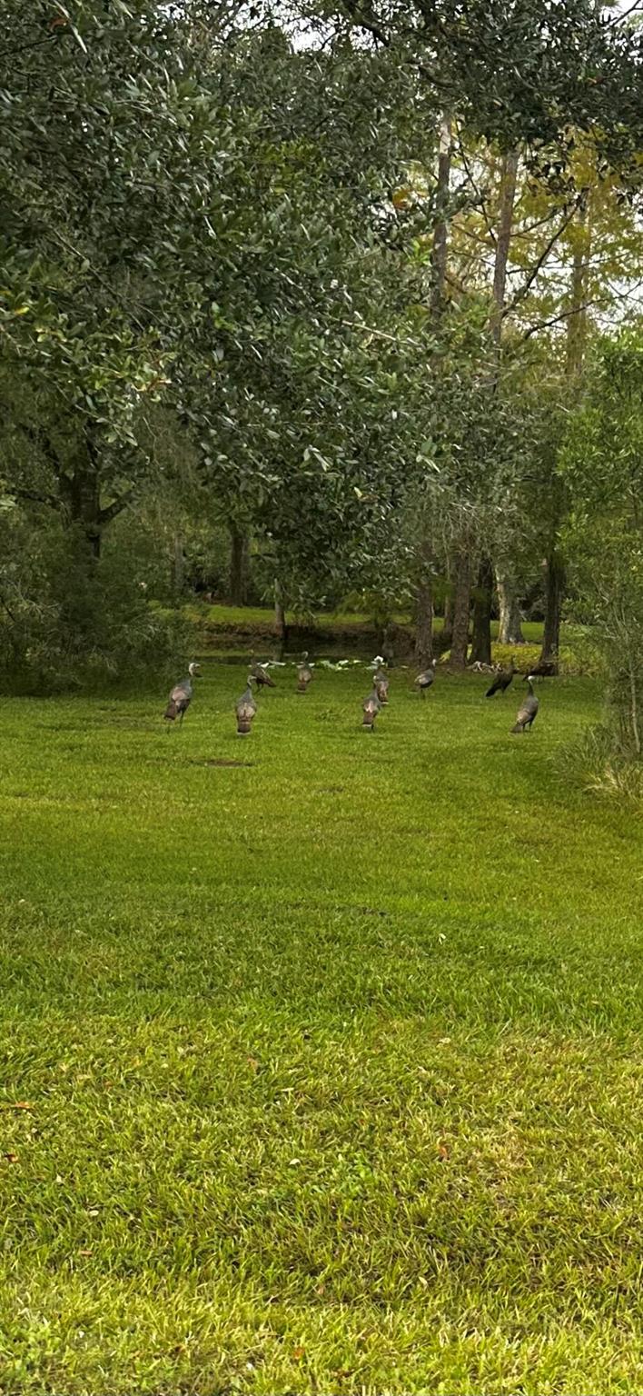 INDIAN HAMMOCK HUNT AND R - Residential