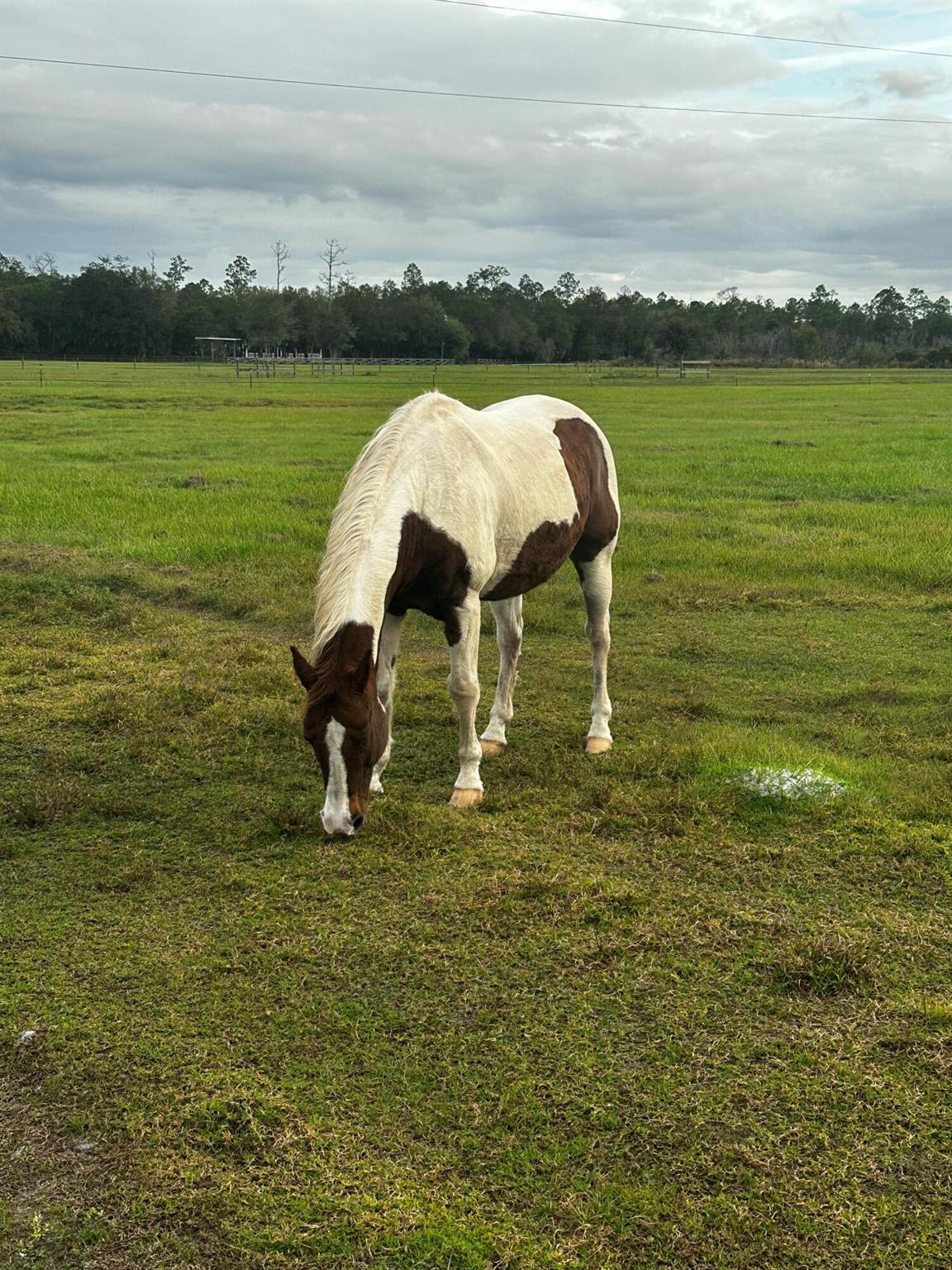 INDIAN HAMMOCK HUNT AND R - Residential