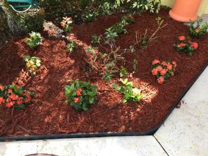 Port Saint Lucie - Residential