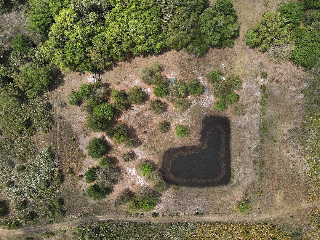 SOUTHERN COLONIZATION COMPANY PLAT - Land