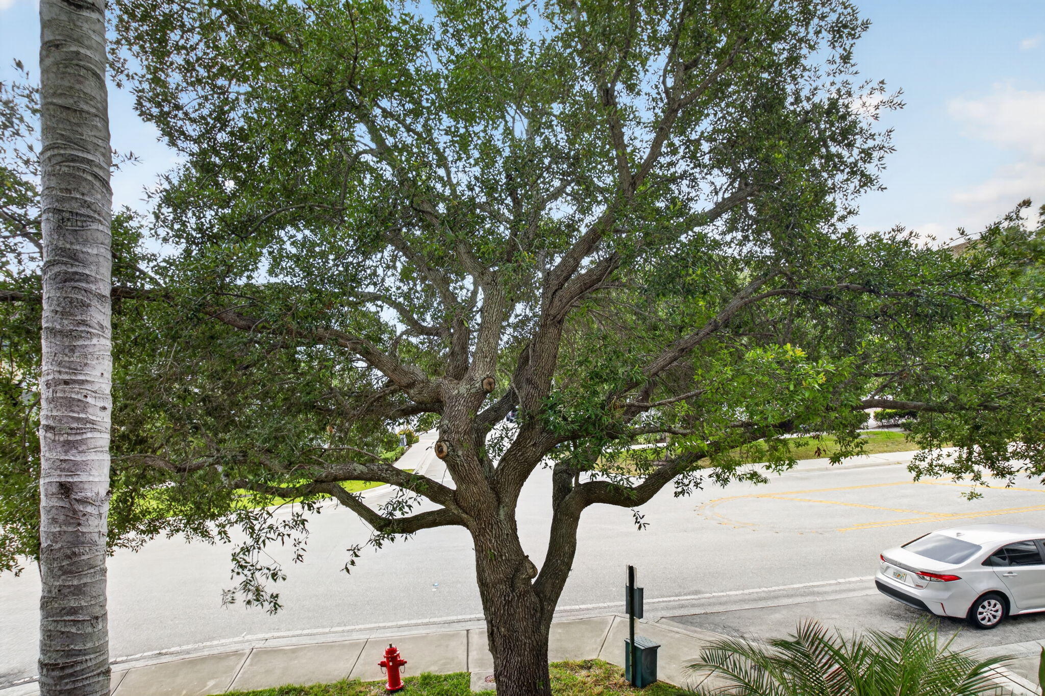 VIZCAYA LAKES CONDO - Residential