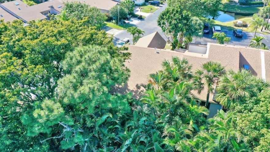 CANARY PALM CLUB - Residential