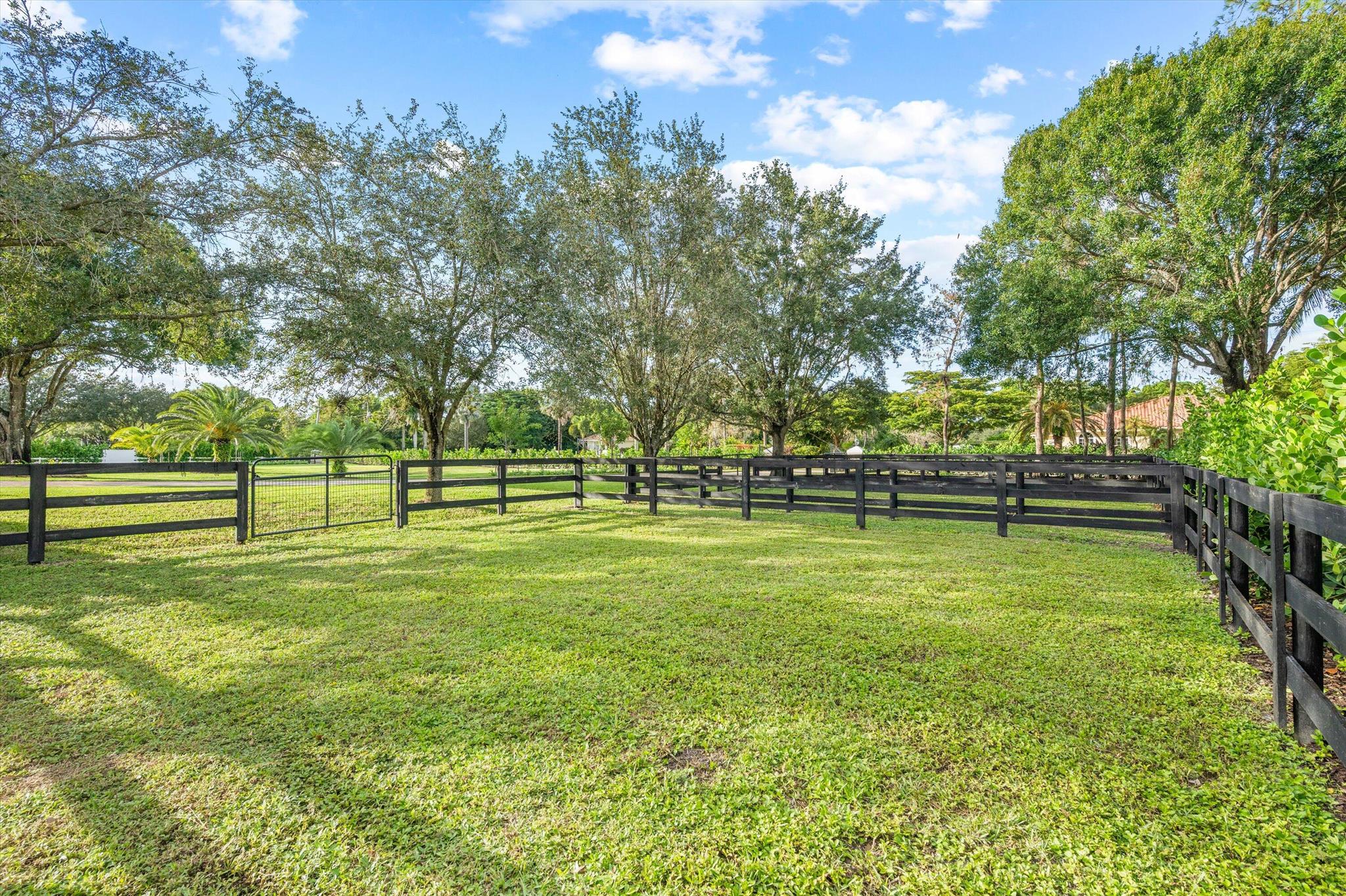 PADDOCK PARK 2 OF WELLING - Residential